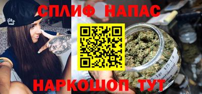 гидра Новозыбков