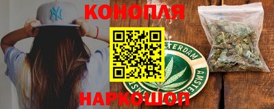 гидра Новозыбков