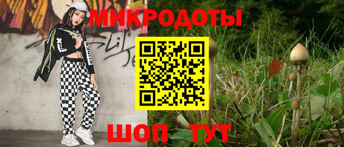 Псилоцибиновые грибы GOLDEN TEACHER Чита
